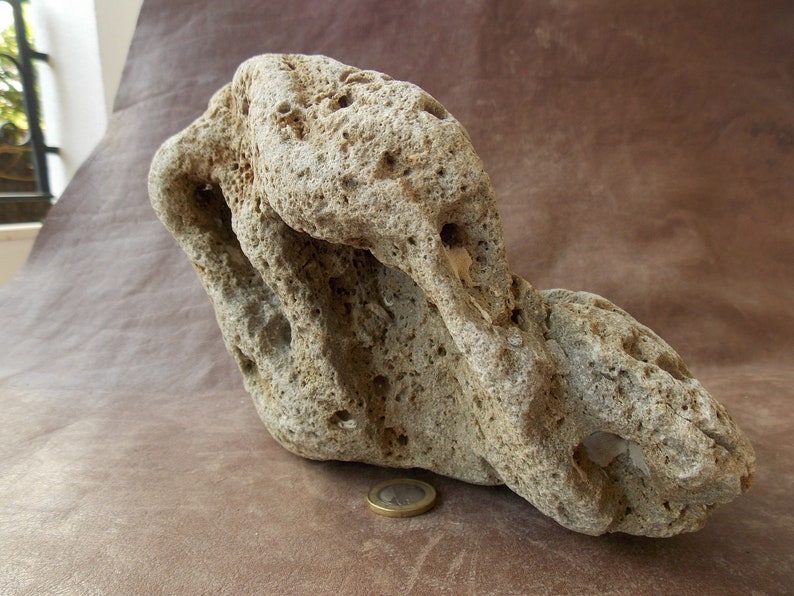 Large Limestone Rock Stone for Aquarium Fish Tank Terrarium Etsy