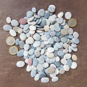 May include: A collection of small, smooth, oval-shaped river stones in shades of white, gray, blue, and tan, interspersed with three gold-colored euro coins for scale, scattered across a textured brown surface.