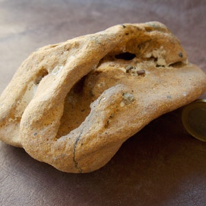 Natürlicher Kalkfelsen mit Löchern, dekorativer Brandungs- getrommelter Strandstein, Baby-Fischunterstand, Aquarium-Terrariumdekor, 11,5 cm-4 &quot;&quot;