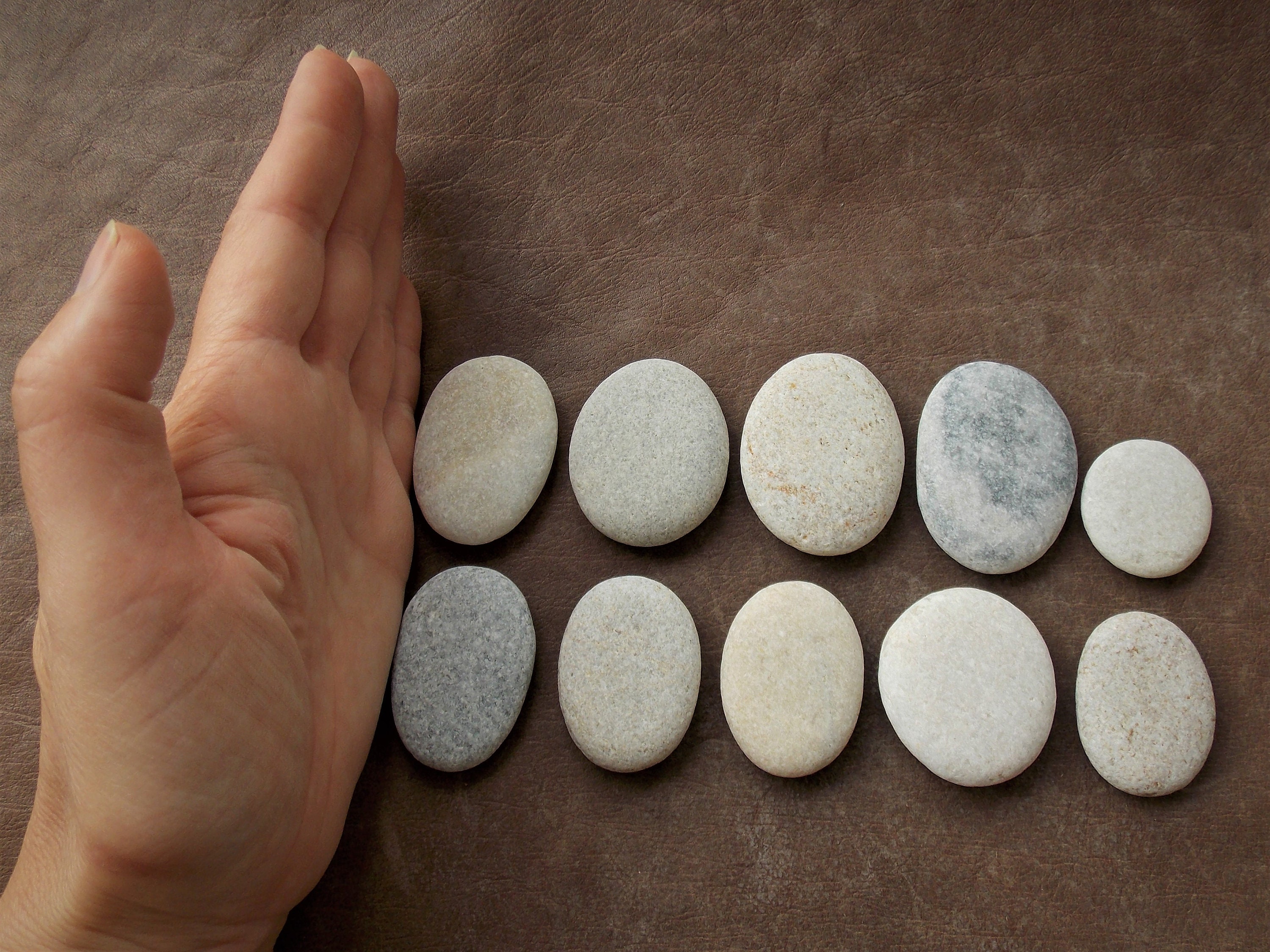 Oval Shape Rocks 10 Flat Oval Shaped Beach Rocks for Pebble Art Mandala | Etsy