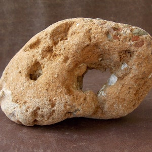 Kalkstein; Großer Aquarienstein; Freistehender Seestein mit Löchern; Dekorativer Surf-getrommelter Strandrock; Terrarium Fisch Tank Dekor; 16cm-6,2&quot;