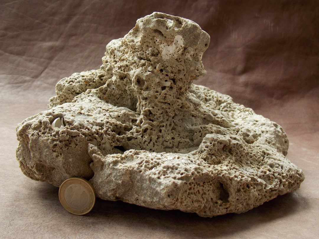 Large Natural Limestone for Aquarium Fish Tank Decor Big Sea Rock With Holes Babyfish Shelter