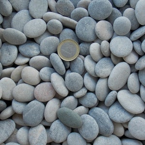 May include: A close-up image of a large collection of smooth, gray and white river rocks. A single euro coin is placed in the center of the image for scale.