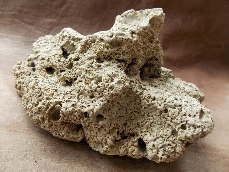 Large Natural Limestone for Aquarium Fish Tank Decor Big Sea Etsy