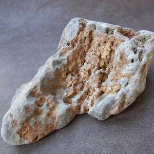 Naturalny wapień Seiryu: dekoracja do akwarium Aquascape (15x10x5 cm)