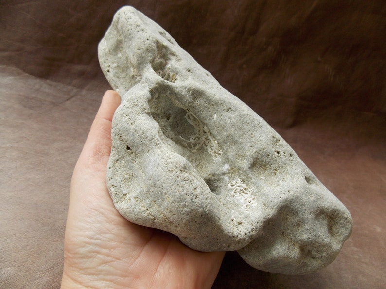 Large Natural Limestone Aquarium Stone With Holes Fish Tank Etsy