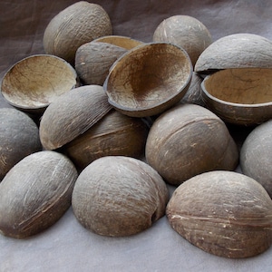 Natural Coconut Shell halves cleaned & ready to use; Eco-friendly Rustic craft bowls for Candle holders, Tropical Home decor, Mini planters