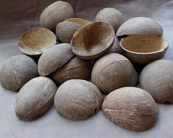 Natural Coconut Shell Halves: Rustic Candle Holders, Mini Planters