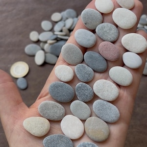 May include: A collection of small, smooth, oval-shaped river stones in various shades of white, gray, and light pink. The stones are arranged in a cluster on a palm, with additional loose stones scattered nearby alongside a single gold coin.