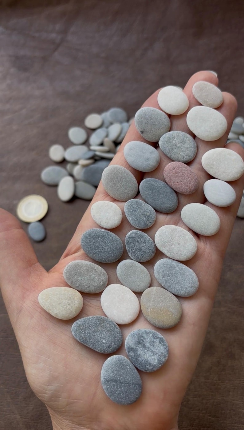 May include: A collection of small, smooth, oval-shaped river stones in various shades of white, gray, and light pink. The stones are arranged in a cluster on a palm, with additional loose stones scattered nearby alongside a single gold coin.