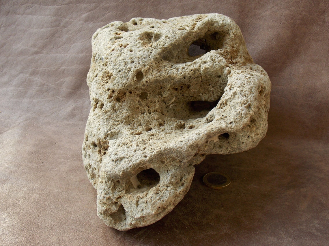 Large Limestone Rock Stone for Aquarium Fish Tank Terrarium Etsy