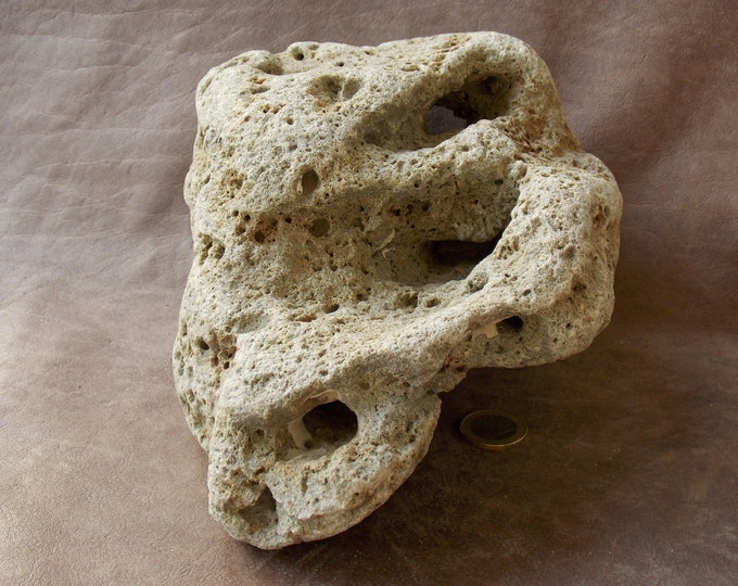 Large Natural Limestone Beach Rock for Aquarium Fish Tank Terrarium Vivarium Decor Big Sea Stone