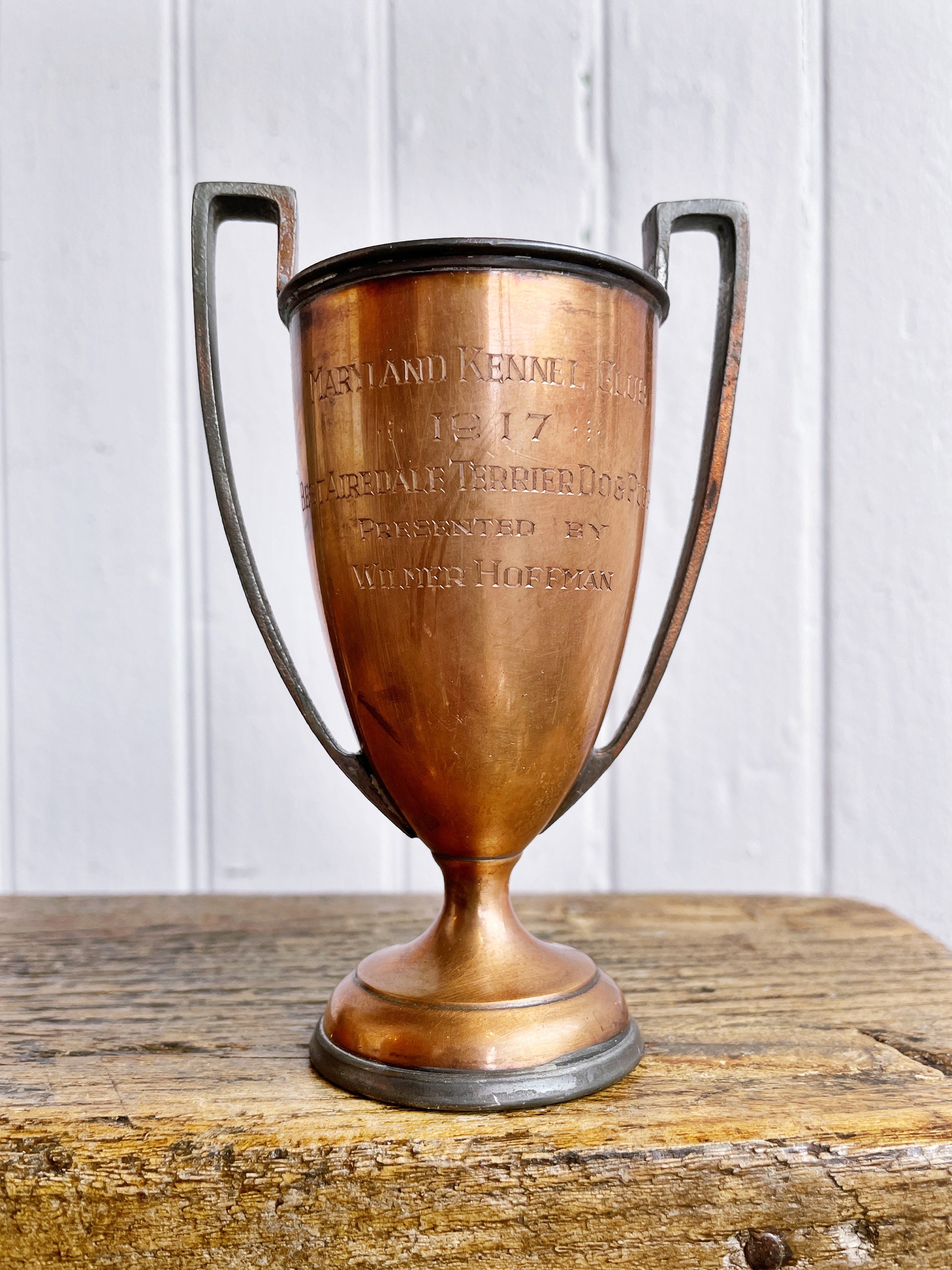 Kennel club gold award 2025