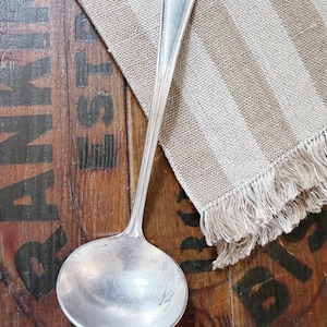 May include: A silver-toned metal ladle featuring a long, slender handle with a decorative embossed leaf pattern at the top and a smooth, rounded bowl. The handle edges are detailed with a fine, linear texture that runs down the length of the stem.