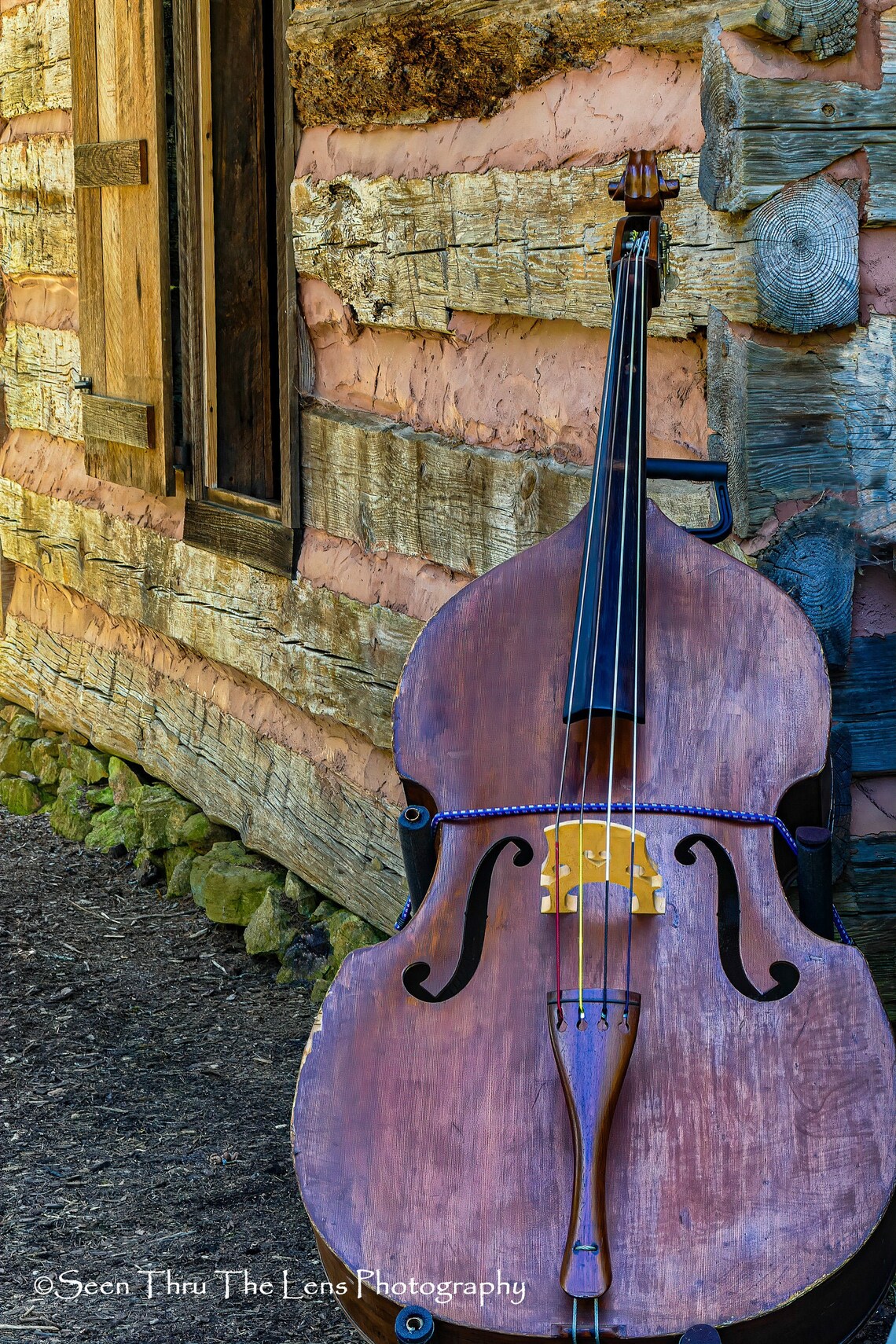 Double Bass also available in Black & White Photographic Etsy