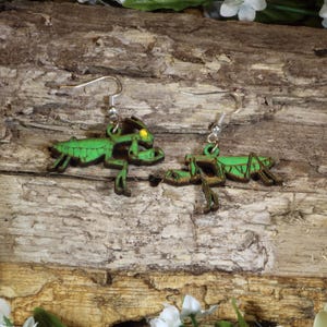 Puede incluir: Un par de pendientes colgantes con dijes de madera cortados con láser en forma de mantis religiosa. Cada mantis está pintada de verde vibrante con contornos marrón oscuro y un detalle de ojo amarillo, sujetos a ganchos de metal plateado.
