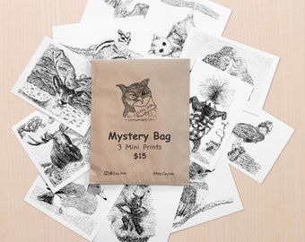 Mystery Bag Mini Prints