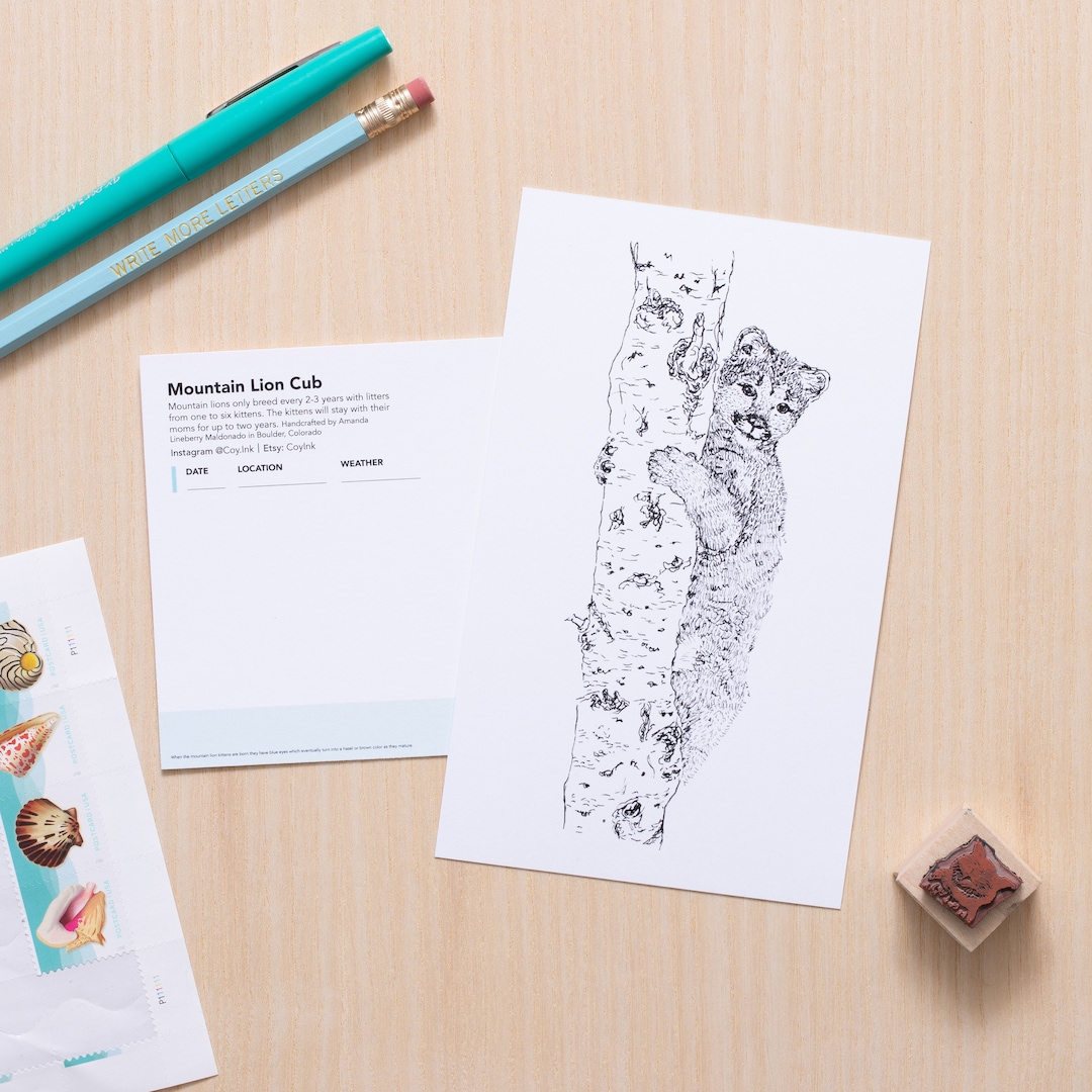 Mountain Lion Cub Art - Etsy