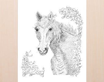 Horse Art 8x10