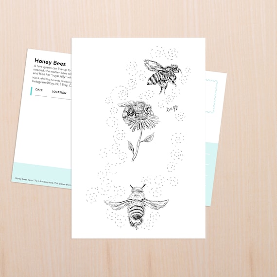 Colorad Postcard Honey Bee Postcards Postcards Stationery etna.com.pe