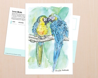 Macaws Love Birds Art