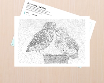 Burrowing Owl Kiss Art