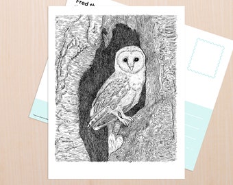 Barn Owl Art