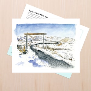 Lory State Park Arte