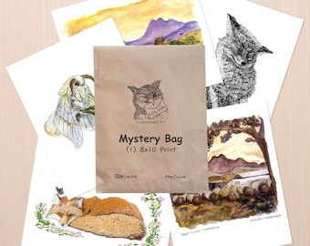 Mystery Bag (Mini Prints or 8x10)