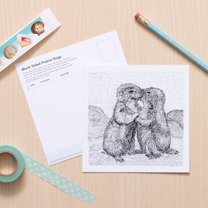Prairie Dogs Kiss Art