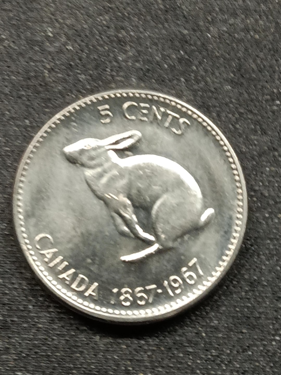 1967 Canada- Lucky Rabbit Nickel - Bright Uncirculated - Etsy