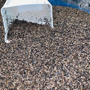 Natural Buckwheat Hulls | Pillow, Cushion & Beanbag Filling | Flat, Air-Cleaned, USA Grown