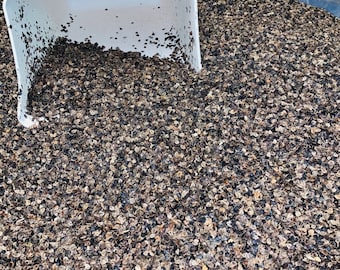 Natural Buckwheat Hulls | Pillow, Cushion & Beanbag Filling | Flat, Air-Cleaned, USA Grown