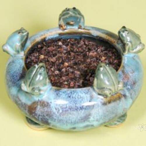 Wholesale Buckwheat Hulls by the Pound Made in the USA Etsy