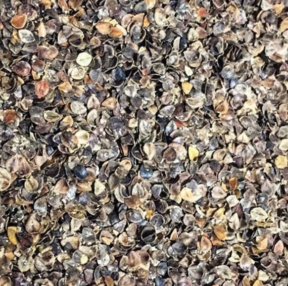 Wholesale Buckwheat Hulls Etsy
