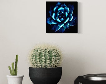 Blue Succulent Canvas Print - Cactus Wall Art by Michelle Watkins - Evil Forest Cactus 8x8 inch print