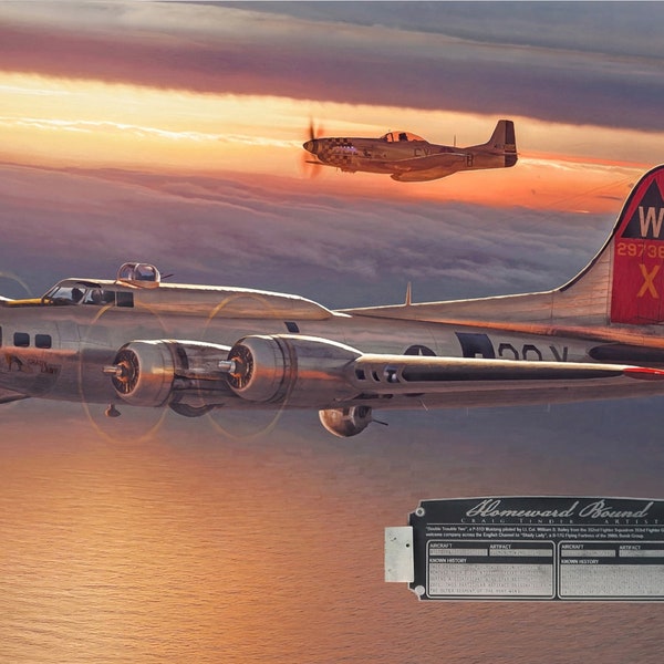 Homeward Bound - Canvas Art with B-17G & P-51D Relics