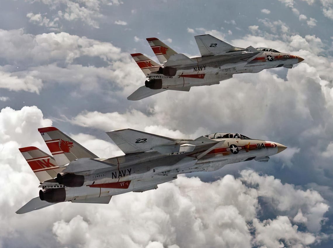 F-14 Tomcat - First Claws Forward - Paper Print by Craig Tinder - Etsy