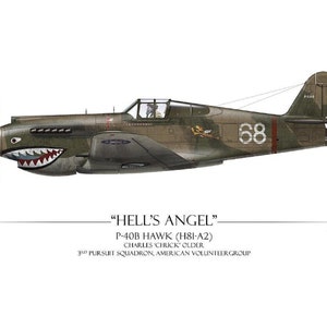 Flying Tiger P-40 Warhawk - Stampa artistica di Craig Tinder