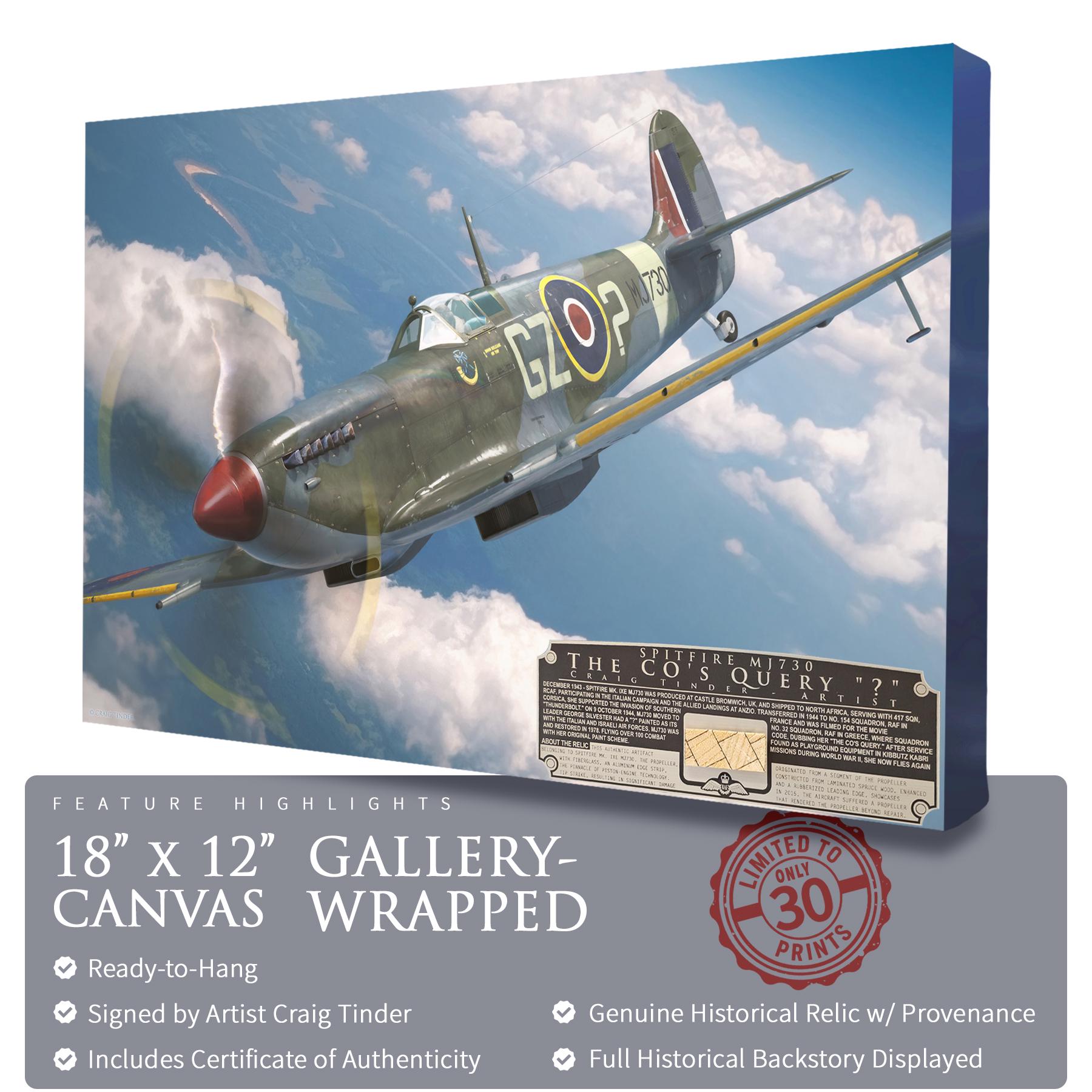 Spitfire Relic - Etsy