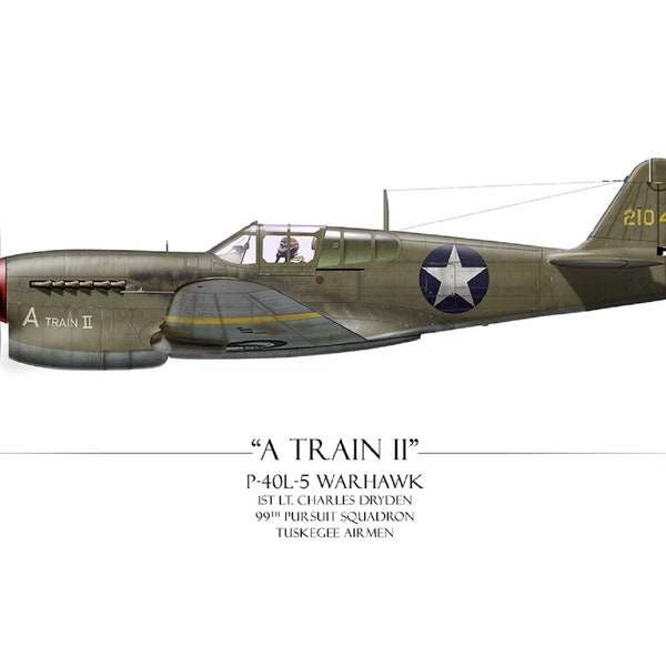 A Train II P-40L-5 Warhawk - Kunstdruck von Craig Tinder