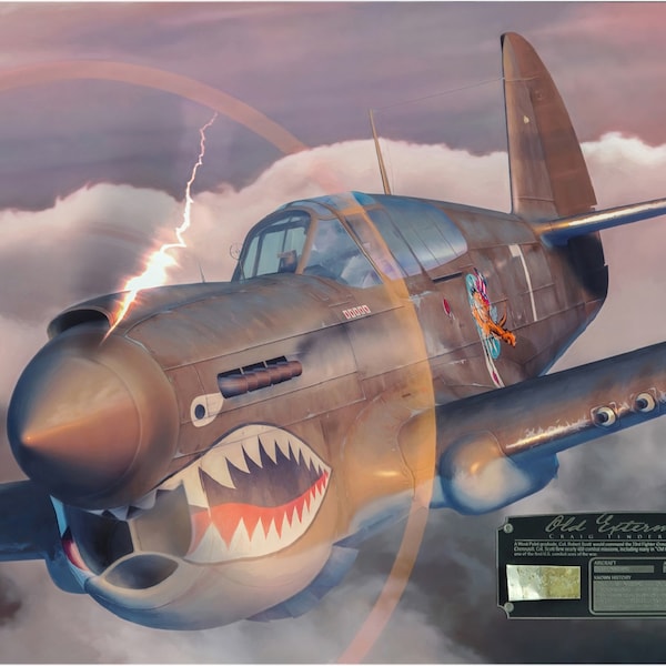Alter Exterminator - Leinwandbild mit P-40E Warhawk Relic