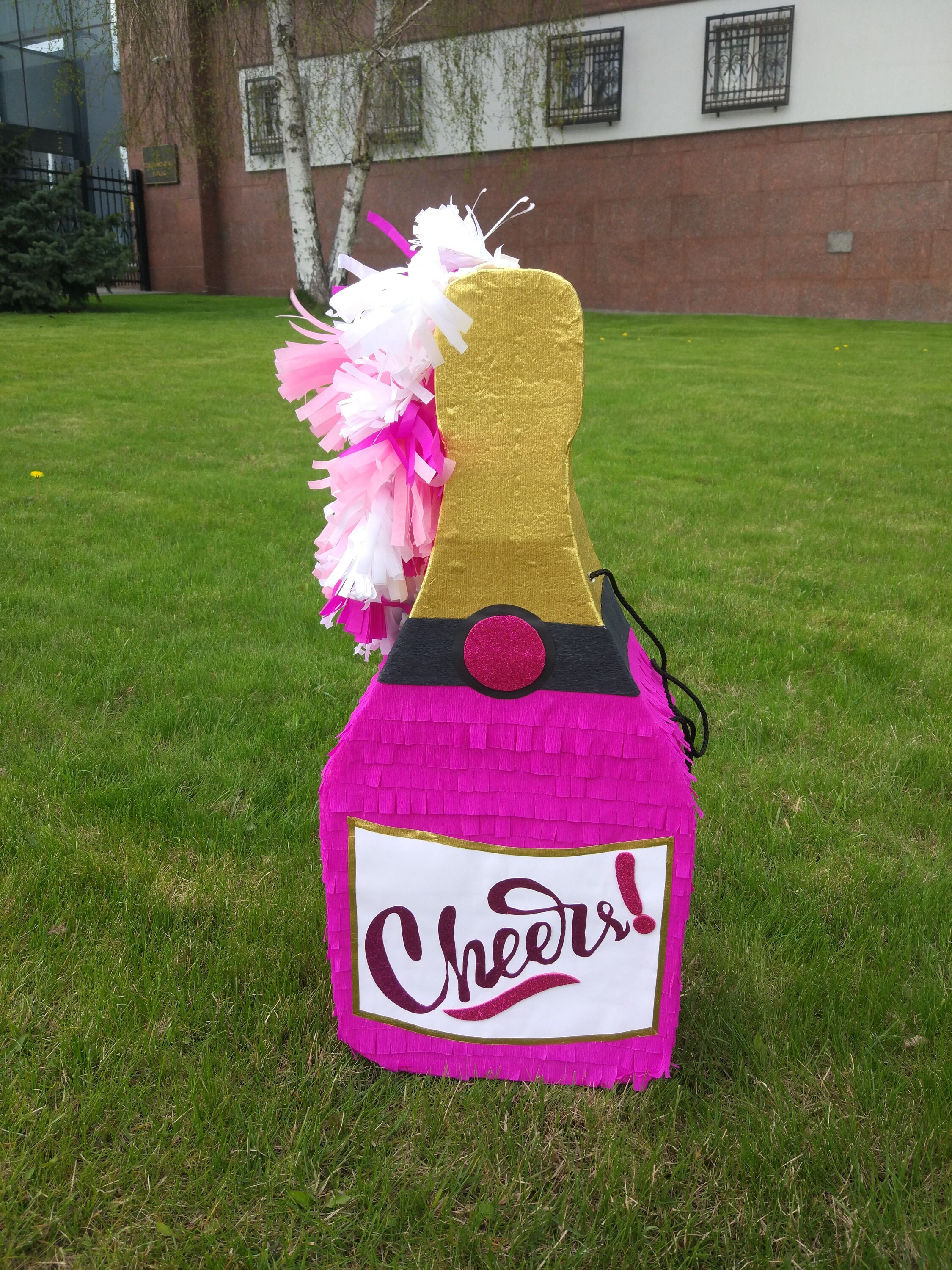 Champaigne pinata Bottle booz alcohol pinata Adult pinata Etsy