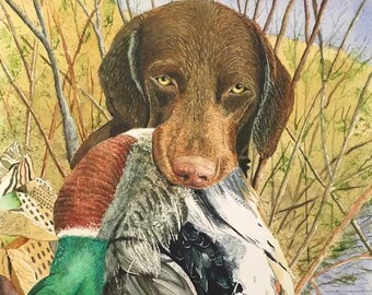 ¡Lo encontré, hazlo de nuevo!