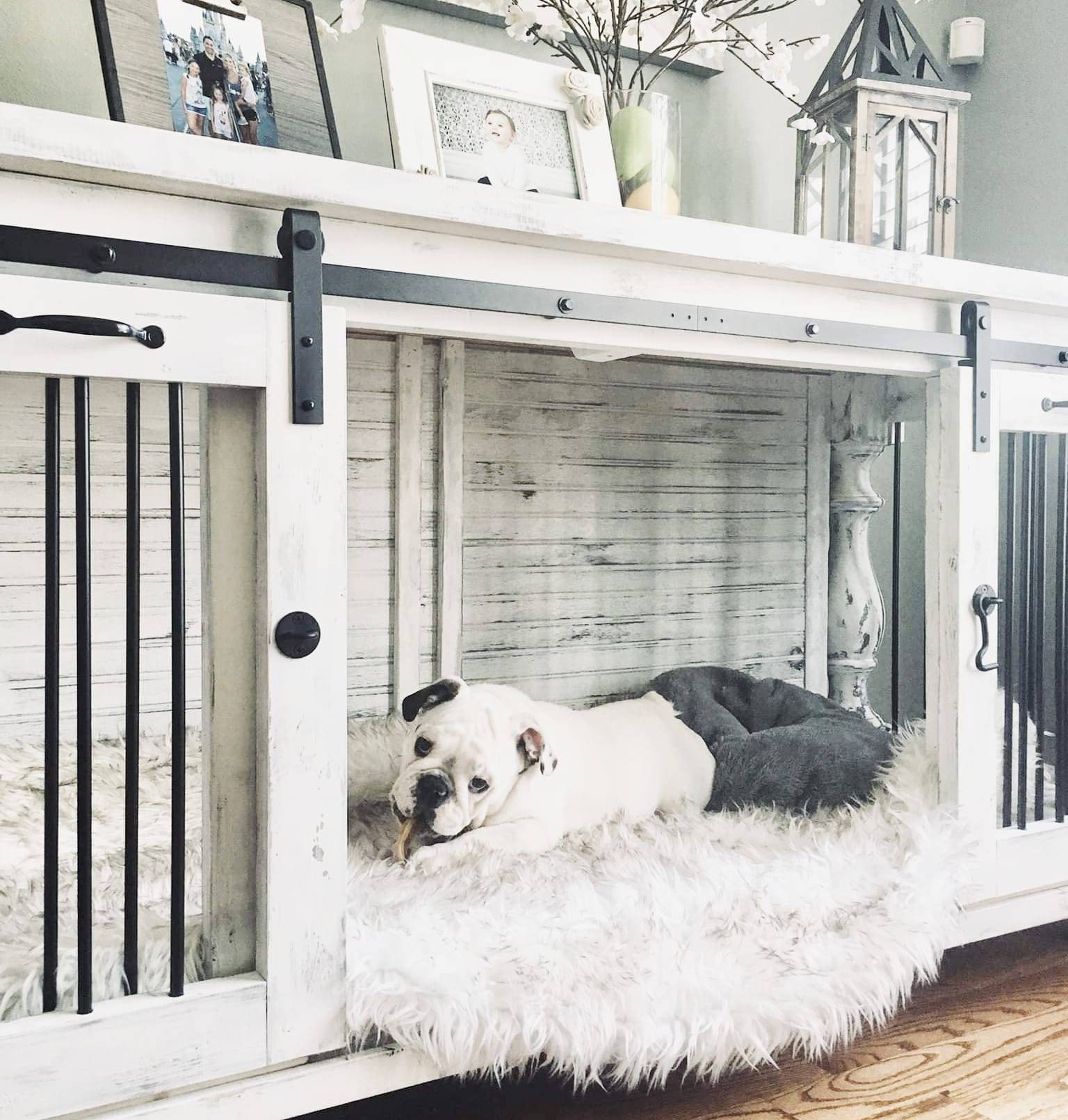 Removable Divider Dog kennel,Dog Crate,Custom Design kennels