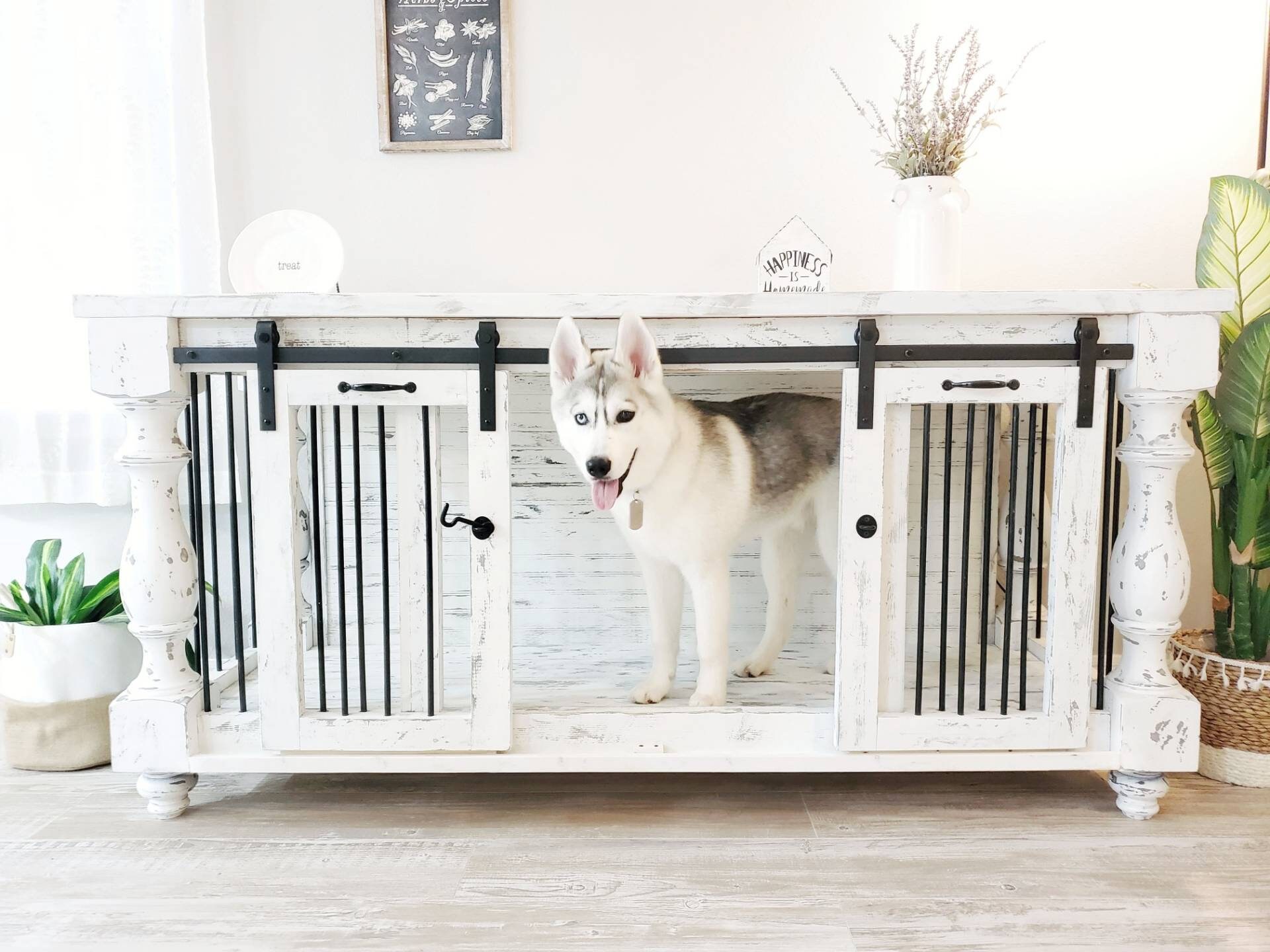 custom kennels