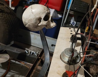 Skull shifter knob. Looks amazing paint any color