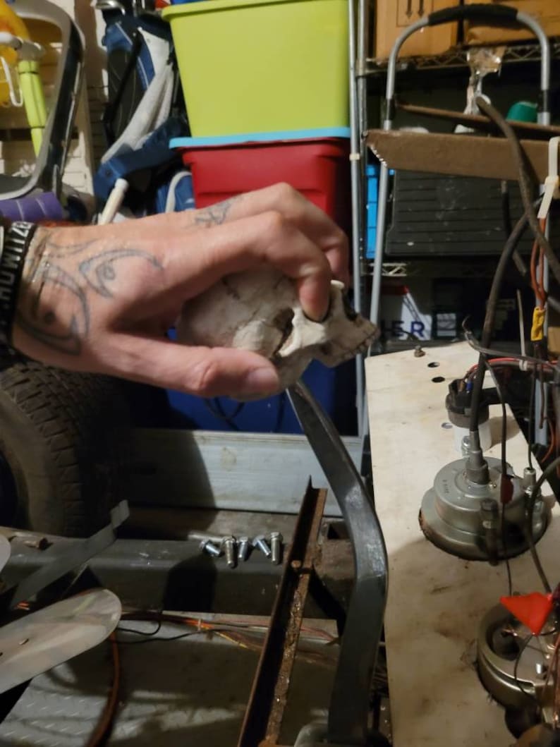 May include: A white ceramic skull with a detailed bone structure. The skull is being held by a hand with a tattoo. The skull is sitting on a metal bar.