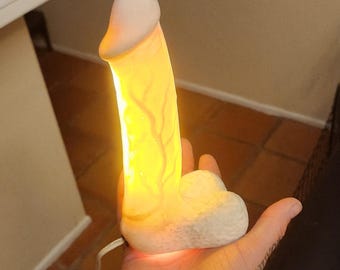 Penis lamp made by me. Each one is made to order. Slight difference may Occur, great conversation piece. Paint any color.