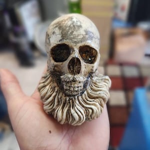 May include: A white skull with a long, white beard. The skull has black eye sockets and a small, black mouth.